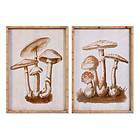 DKD Home Decor Maleri Krystal Bambus Svampe (50 x 70 x 2,8 cm) (2 enheder)