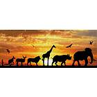 Diamond Dotz African Sky Diamond Painting