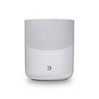 Bluesound PULSE M