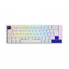Akko 3068B Blue/White (CS Jelly Pink) (Nordisk)