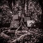 Kamasi Washington Harmony Of Differnce EP LP