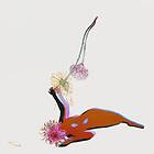 Future Islands - The Far Field CD