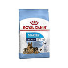 Royal Canin Starter Mother & Babydog Maxi 15kg