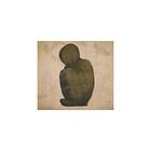 Kaada / Patton Bacteria Cult CD