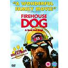 Firehouse Dog DVD