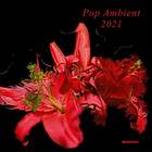 Diverse Artister Pop Ambient 2021 CD