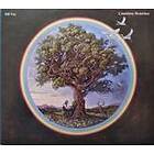 Bill Fay Countless Branches CD