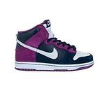 Nike SB Dunk High Pro (Herr)