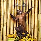 !!! (Chk Chk Chk) As If CD