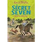Secret Seven: Secret Seven Mystery