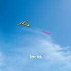 Deer Tick Negativity CD