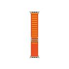 Apple 49mm Alpine Loop Large