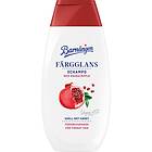 Barnängen Färgglans Shampoo 250ml