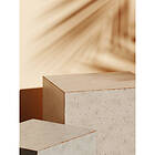 Venture Home Sunflow Poster Beige 50x70