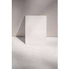Venture Home Canvas Poster Beige 70x100