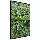Artgeist Poster Affisch Road Through Forest [Poster] 30x45 A3-DRBPRP0513m_cr