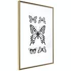 Artgeist Poster Affisch Five Butterflies [Poster] 40x60 A3-DRBPRP0629l_zr