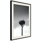 Artgeist Poster Affisch Crow's Nest [Poster] 20x30 A3-DRBPRP1103s_cr_pp