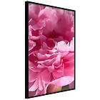 Artgeist Poster Affisch Beautiful Peonies [Poster] 20x30 A3-DRBPRP1220s_cr