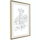 Artgeist Poster Affisch Monochrome Monstera [Poster] 40x60 A3-DRBPRP1041l_zr_pp