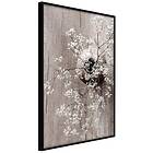 Artgeist Poster Affisch Dried Flowers [Poster] 30x45 A3-DRBPRP0406m_cr