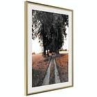 Artgeist Poster Affisch Road to the Forest [Poster] 40x60 A3-DRBPRP1502l_zr_pp