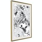 Artgeist Poster Affisch Monochrome Flowers [Poster] 20x30 A3-DRBPRP1442s_zr_pp