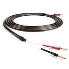 Chord Epic Twin 2Banana - 2Banana 1m