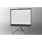 Celexon Economy Tripod Matt White 4:3 78" (158x118)