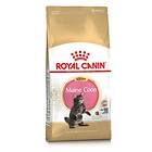 Royal Canin Breed Maine Coon 36 Kitten 4kg