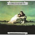 John & Beverly Martyn Stormbringer LP