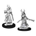 D&D Nolzur's Marvelous Unpainted Miniatures (W9) Female Human Druid
