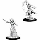 Pathfinder Battles Deep Cuts Unpainted Miniatures (W1) Female Human Wizard