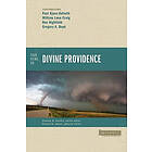 William Lane Craig, Ron Highfield, Gregory A Boyd, Paul Kjoss Helseth: Four Views on Divine Providence