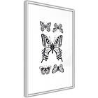 Artgeist Poster Affisch Five Butterflies A3-POprp0629l_brA