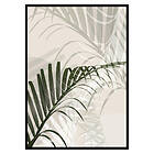 Gallerix Poster Abstract Palm Leaves No2 2651-50x70