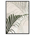 Gallerix Poster Abstract Palm Leaves No2 2651-70x100