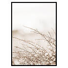 Gallerix Poster Branches 2803-21x30