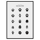 Gallerix Poster Djurspår 2698-21x30G
