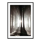 Gallerix Poster Misty Autumn Morning 3620-21x30G