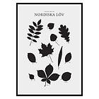 Gallerix Poster Nordiska Löv 2706-50x70