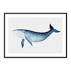 Gallerix Poster Watercolor Whale 4108-21x30G
