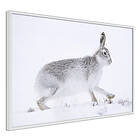 Artgeist Poster Affisch Rabbit A3-POprp0130l_brA