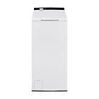 Point PTL550 (White)