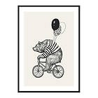 Gallerix Poster Bear On Bicycle 4172-30x40