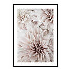 Gallerix Poster Pink Shaded Flowers 3881-21x30G