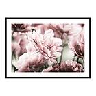 Gallerix Poster Pink Tulip 4477-21x30G