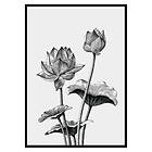 Gallerix Poster Sketched Flowers 3438-30x40
