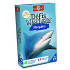 DEFIS NATURE REQUINS