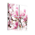 Arkiio Tavla Blommande Magnolia Träd magnolia träd 60x60 A3-N1929-60x60